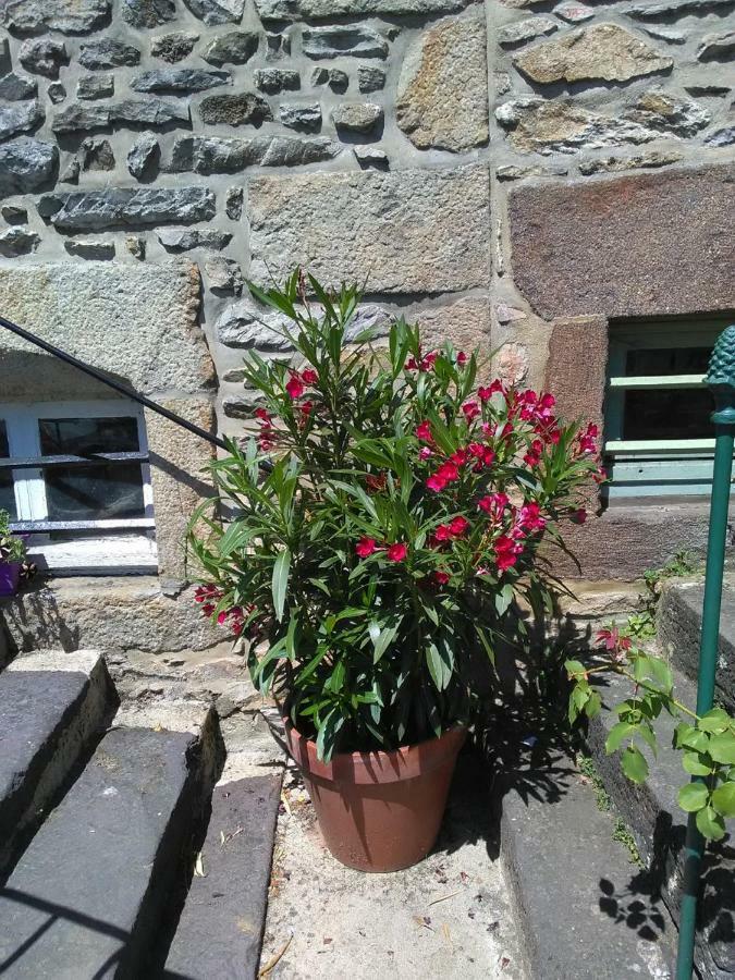 Le Refuge Des Alpes Mancelles Lejlighed Fresnay-sur-Sarthe Eksteriør billede